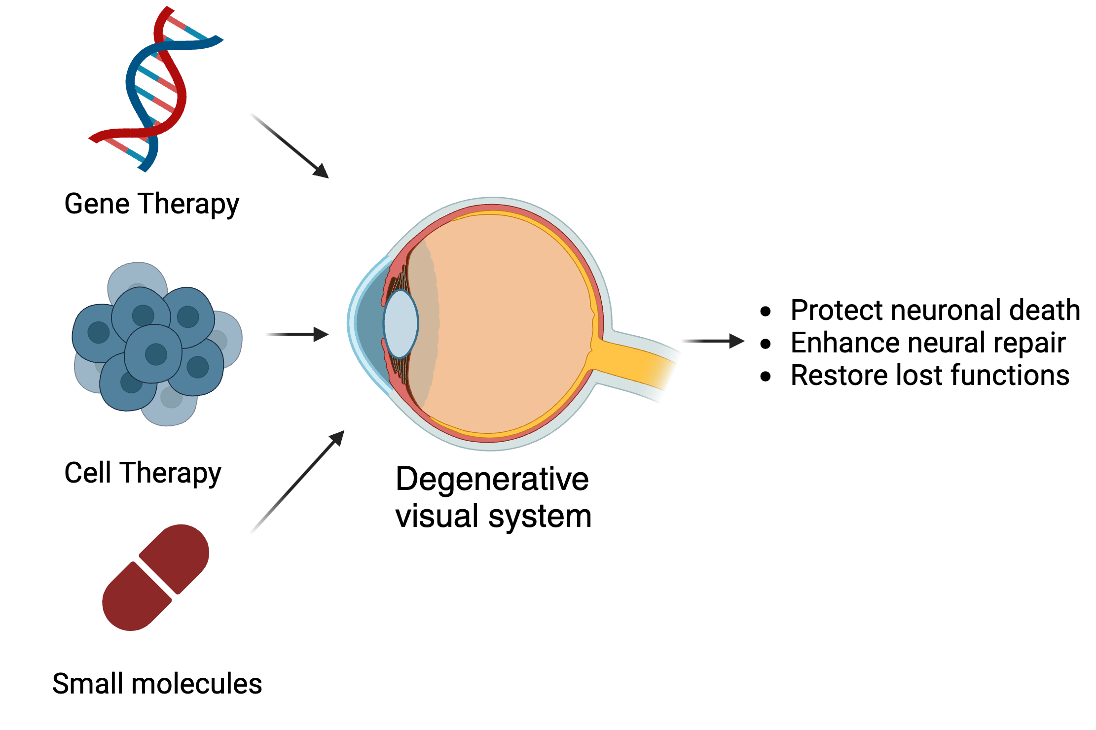 Transforming genomics findings to therapeutic strategies for neuroprotection and neural repair